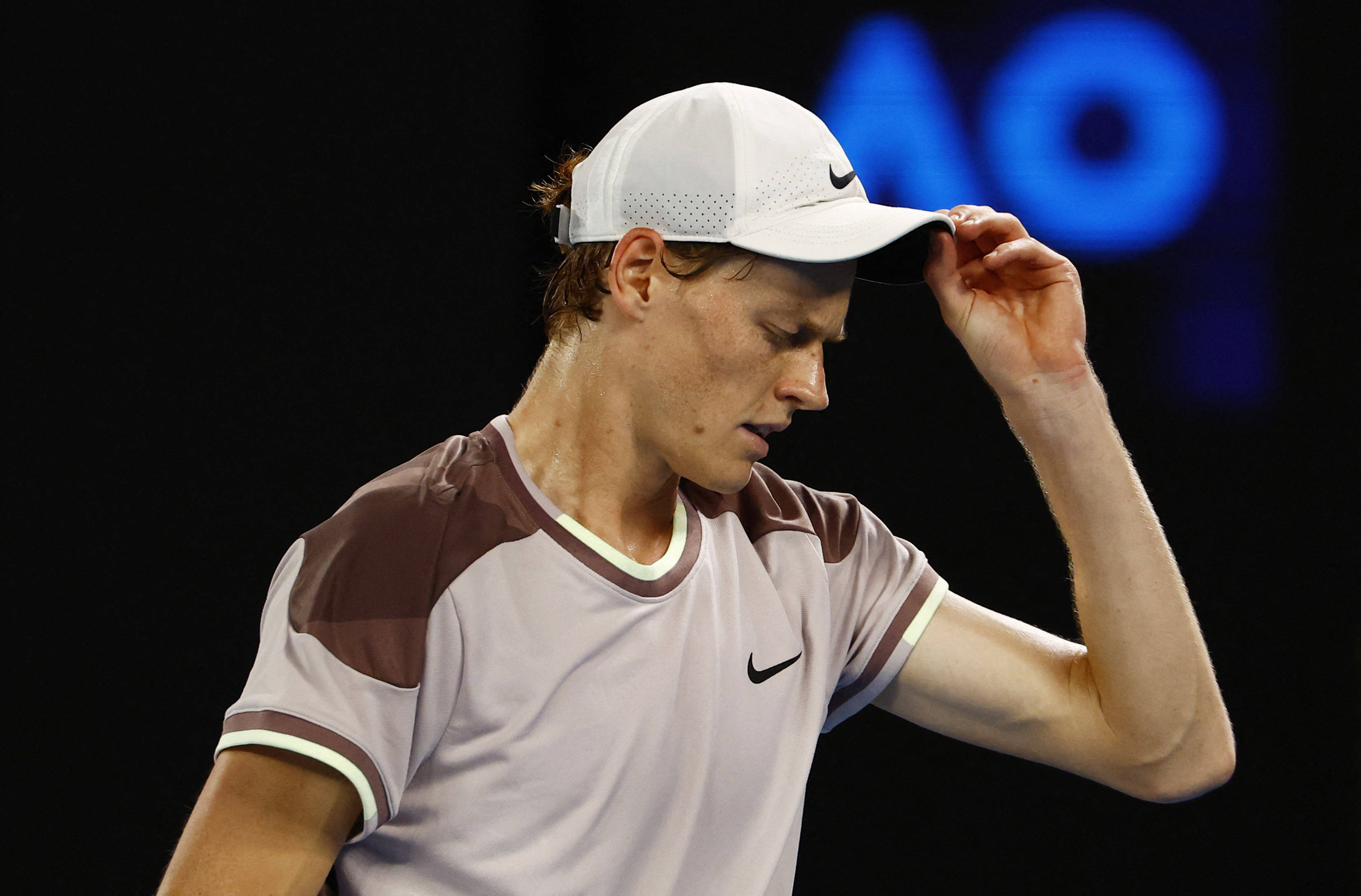 表现稳健 表现稳健